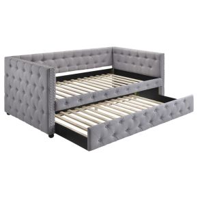 CoasterEssence 302161 Mockern - Upholstered Twin Daybed With Trundle - Gray