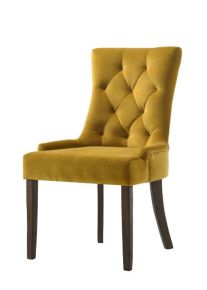 ACME 77163 Farren - Side Chair (Set of 2) - Yellow Velvet & Espresso Finish