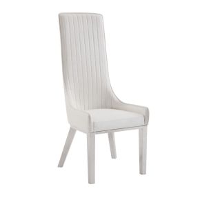 ACME 72473 Gianna - Side Chair (Set of 2) - Ivory Synthetic Leather & Stainless Steel