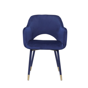 ACME 59852 Applewood - Accent Chair - Ocean Blue Velvet & Gold