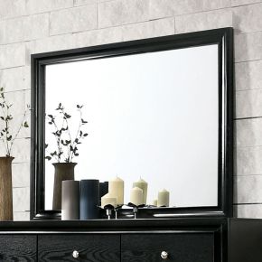 Furniture of America CM7552BK-M Chrissy - Mirror - Black