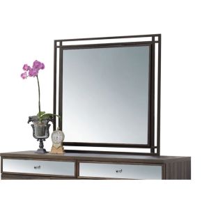 ACME 20954 Adrianna - Mirror - Walnut