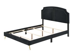 ACME BD01176Q Zeena - Queen Bed - Black Velvet