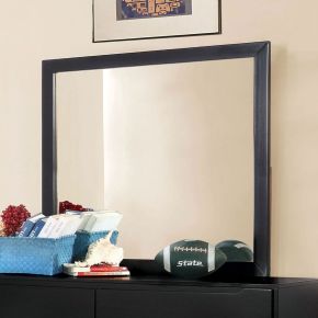 Furniture of America CM7386BK-M Lennart - Mirror - Black
