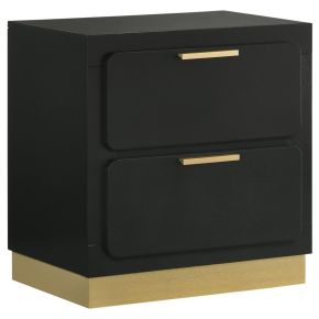 Coaster Fine Furniture 224782 Caraway - 2-Drawer Nightstand - Black