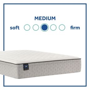 Sealy 52639051 Sealy 52639051 Essentials - Winter Green Medium Faux Euro Top Mattress - Queen