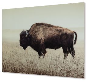 Ashley Furniture A8000289 Brutus - Wall Art - Sepia