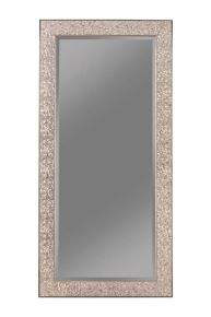 CoasterEveryday 901997 Rollins - Rectangular Floor Mirror - Silver