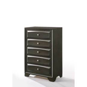 ACME 26546 Soteris - Chest - Antique Gray
