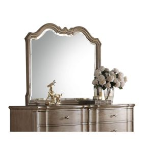 ACME 26054 Chelmsford - Mirror - Antique Taupe
