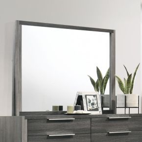 ACME BD02724 Casimiro - Mirror - Gray