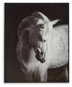 Ashley Furniture A8000409 Archerwick - Wall Art - Black / White