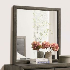 Furniture of America FOA7927M Roanne - Mirror - Gray