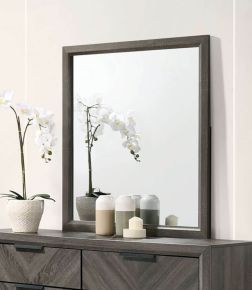Furniture of America CM7472GY-M Vagan - Mirror