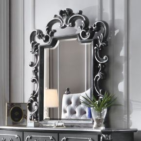 ACME 28834 House - Delphine - Mirror - Charcoal Finish