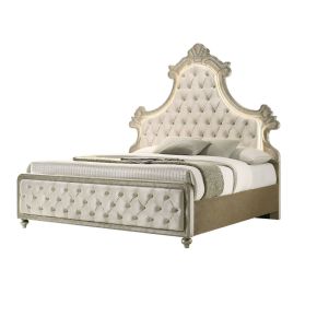 ACME BD02334EK ACME BD02334EK Lucienne - Eastern King Bed With LED - Beige Velvet