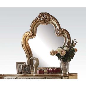 ACME 23164 ACME 23164 Dresden - Mirror - Gold Patina & Bone