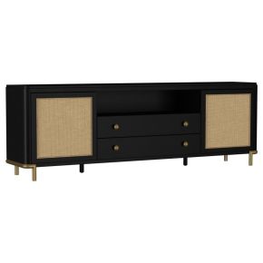 Coaster Fine Furniture 720263 Arini - Rattan Cane 2-Door TV Stand Media Console - Black