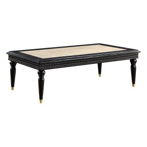ACME LV01158 ACME LV01158 Tayden - Coffee Table With Marble Top - Marble Top & Black