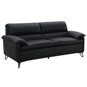 ACME LV03701 Eilene - Loveseat - Black Top Grain Leather