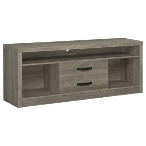 CoasterEssence 701024 Burke - 2-Drawer Engineered Wood TV Stand - Gray Driftwood