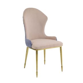 ACME 72469 Caolan - Side Chair (Set of 2) - Tan, Lavender Fabric & Gold