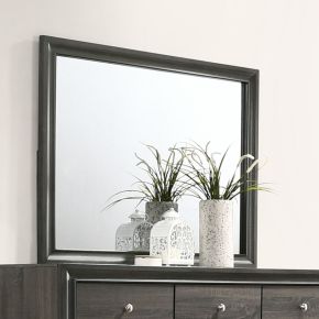 ACME 25974 ACME 25974 Naima - Mirror - Gray