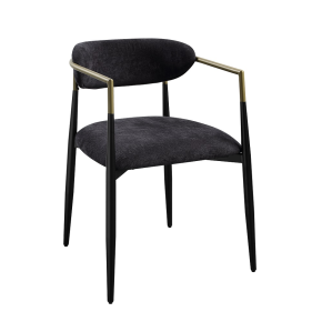 ACME DN02696 Jaramillo - Side Chair (Set of 2) - Black