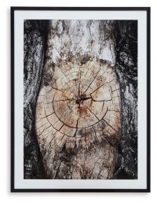 Signature Design by Ashley® A8000394 Freyburn - Brown / Black / White - Wall Art