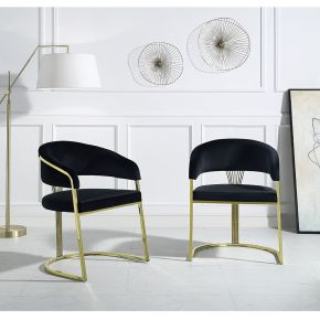 ACME DN01954 Fallon - Side Chair (Set of 2) - Black Velvet & Mirrored Gold