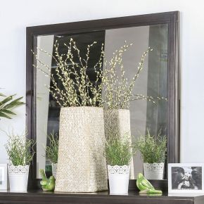 Furniture of America CM7580EX-M Berenice - Mirror - Espresso