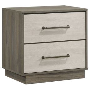 Coaster Fine Furniture 224982 Fenwick - 2-Drawer Nightstand Bedside Table - Gray Oak