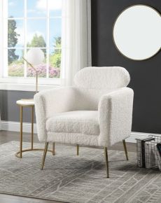 ACME AC00124 Connock - Accent Chair - White