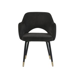 ACME 59854 Applewood - Accent Chair - Black Velvet & Gold