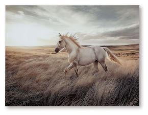 Signature Design by Ashley® A8000489 Errolville - Wall Art - Multi