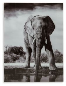 Signature Design by Ashley® A8000421 Glinyard - Black / White - Wall Art