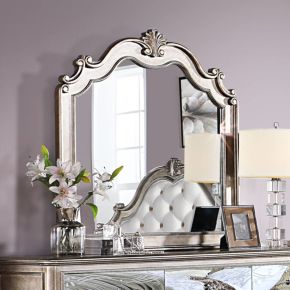 ACME 22204 Esteban - Mirror - Antique Champagne