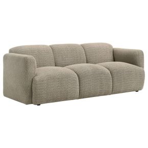 Coaster Fine Furniture 509814 Dorset - Fabric Upholstered Round Track Arm Sofa - Brown