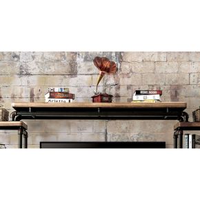 Furniture of America CM5913-BR Kebbyll - Bridge - Antique Black / Natural Tone