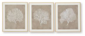 Signature Design by Ashley® A8000486 Hendridge - Wall Art Set (Set of 3) - Taupe / White