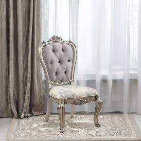 ACME DN02282 Ariadne - Side Chair (Set of 2) - Velvet & Antique Platinum