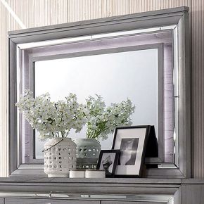 Furniture of America CM7579M Alanis - Mirror - Light Gray