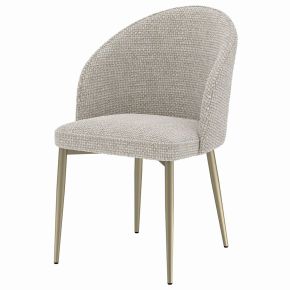 ACME DN04296 Cora - Side Chair (Set of 2) - Champange Fabric