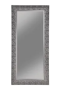 CoasterEveryday 901999 Rollins - Rectangular Floor Mirror - Black