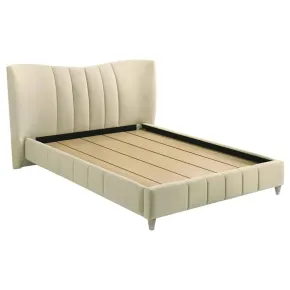 Coaster Fine Furniture 315956Q Evelyn - Upholstered Queen Panel Platform Bed - Ivory