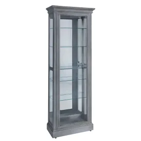 Pulaski Furniture P021792 Pulaski Accents - Side Entry Curio Cabinet - Gray
