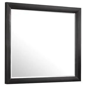 CoasterEssence 200704 Briana - Dresser Mirror - Black