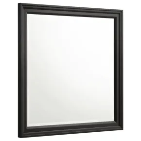 CoasterEssence 201324 Sandy Beach - Dresser Mirror - Black
