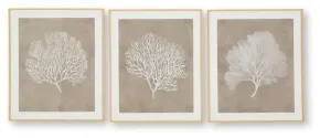 Ashley Furniture A8000486 Hendridge - Wall Art Set (Set of 3) - Taupe / White