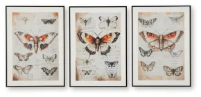 Ashley Furniture A8000490 Jossletts - Wall Art Set (Set of 3) - Orange / Black / Ivory